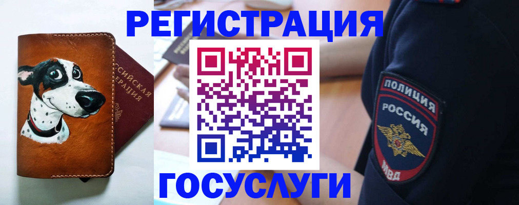 временная регистрация в квартире в Заволжске